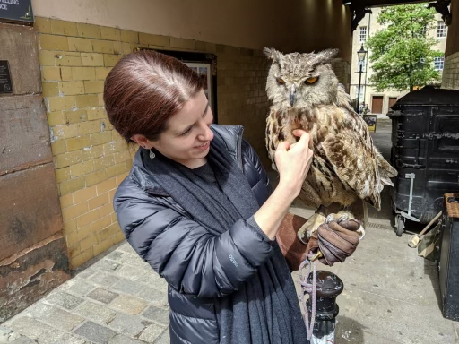 Avatar image of Katie Marie.  She is mid 30's, has dark brown hair, and is holding a great horned owl.